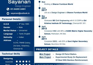 Resume Templates for Freshers Engineers Free Download Professional Cv for Fresher Curriculum Vitae Resume Resume for …