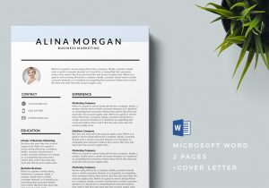 Resume Templates for Graphic Designer Free Download 75 Best Free Resume Templates Of 2019
