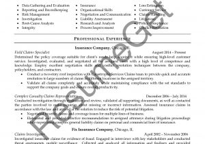 Resume Templates for Insurance Claims Adjuster Claims Adjuster Resume Examples Resumegets.com