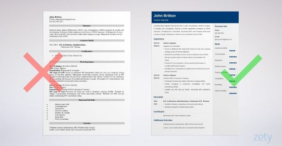 Resume Templates for Insurance Claims Adjuster Insurance Claims Adjuster Resume Sample with Skills
