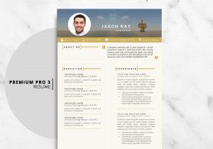 Resume Templates for Oil and Gas Industry Oil & Gas Resume Template
