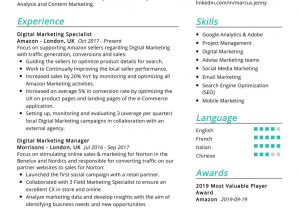 Resume Templates for social Media Marketing Digital Marketing Resume Example Cv Sample [2020] Resumekraft