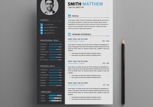 Resume with Picture Template Free Download Cv Resume Templates – Free Download On Behance