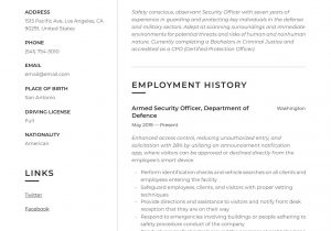 Safety Officer Sample Resume Download Pdf Security Officer Resume & Writing Guide  12 Resume Examples 2020