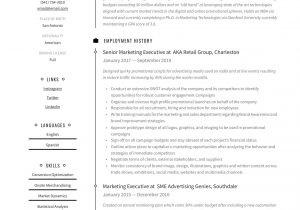 Sales and Marketing Executive Resume Sample Pdf Marketing Executive Resume & Writing Guide  12 Examples 2020