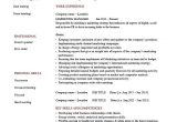 Sales and Marketing Manager Resume Sample Doc Marketing Manager Resume Example, Cv Template, Skills, India …