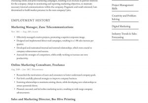 Sales and Marketing Manager Resume Sample Doc Marketing Manager Resume Examples & Writing Tips 2021 (free Guide)