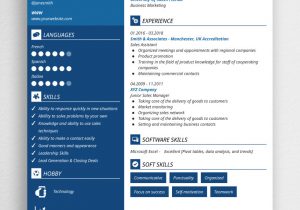 Sales and Marketing Resume Sample Download Sales Resume Samples & Pro Writing Tips