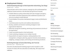 Sales and Marketing Resume Sample Pdf Marketing Manager Resume   Writing Guide 12 Templates 2020