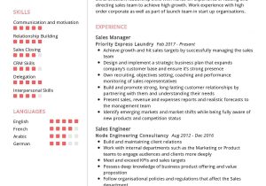 Sales Manager Job Description Resume Sample Sales Manager Cv Sample 2022 Writing Tips – Resumekraft
