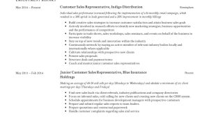 Sales Representative Job Description Sample Resume Guide: Customer Sales Representative Resume  12 Samples Pdf 2022