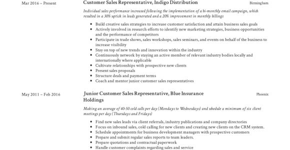 Sales Representative Job Description Sample Resume Guide: Customer Sales Representative Resume  12 Samples Pdf 2022