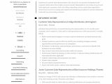 Sales Representative Resume Sample Based On Sales Volume Guide: Customer Sales Representative Resume  12 Samples Pdf 2022