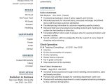 Sales Resume with No Experience Sample Junior Sales assistant Resume Example 2021 Writing Tips …