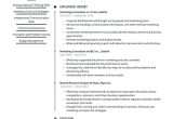 Sales Sheets Task In A Marketing Company Resume Sample Marketing Consultant Resume Examples & Writing Tips 2022 (free Guide)