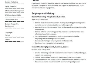 Sales Sheets Task In A Marketing Company Resume Sample Marketing Resume Examples & Writing Tips 2022 (free Guide)