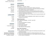 Sales Support Specialist Sample Position Details On A Resume Junior Sales assistant Resume Example 2021 Writing Tips …
