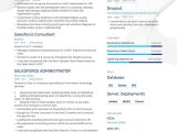 Salesforce Business Analyst Admin Sample Resume Salesforce Business Analyst Resume