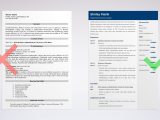 Salesforce Business Analyst Admin Sample Resume Salesforce Resume Samples (analyst, Administrator or Dev)