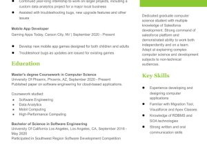 Salesforce Developer and Administrator Sample Resume Salesforce Developer Resume Examples In 2022 – Resumebuilder.com