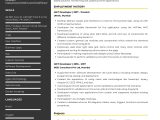 Salesforce Developer with Box Resume Sample Sample Resume Of Salesforce Developer with Template & Writing …