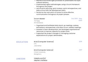 Salesforce Developer with Box Resume Sample Sample Resume Of Salesforce Developer with Template & Writing …