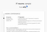 Sample 2 Page Resume Information Technology 15 Years Experience 25lancarrezekiq Information Technology (it) Resume Examples for 2022