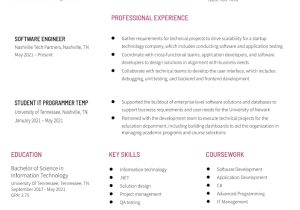 Sample 2 Page Resume Information Technology 15 Years Experience Entry-level Information Technology Resume Examples In 2022 …