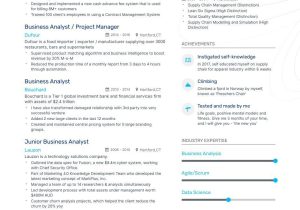 Sample 2 Years Business Analyst Resumes the Best Business Analyst Resume Examples & Guide for 2022 (layout …