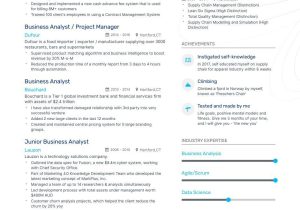 Sample 2 Years Business Analyst Resumes the Best Business Analyst Resume Examples & Guide for 2022 (layout …