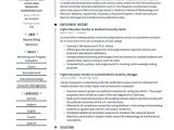 Sample 8th Grade social Studies Teacher Resume Teacher Resume & Writing Guide  19 Examples 2022