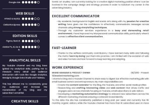 Sample About Me Resume for Students  10 Cv Examples for Students to Stand Out even without Experience