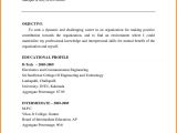 Sample Achievements In Resume for Freshers Sample Achievements In Resume for Freshers