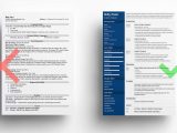 Sample Achievements In Resume for Graphic Designer Graphic Designer Resume: Examples & Tips for 2022