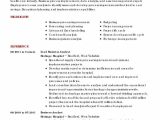 Sample Business Analyst Resume Banking Domain Junior Business Analyst Resume Fresh Sample Resume Business …