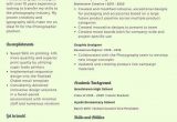 Sample Combination Resume for Career Change Bination Career Change Resume Samples & Templates [pdf