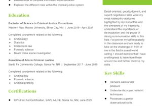 Sample Correctional Officer Resume with No Experience Correctional Officer Resume Examples In 2022 – Resumebuilder.com
