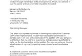 Sample Cover Letter for Resume Career Change W Transferrable Skills 39 Professional Career Change Cover Letters á Templatelab