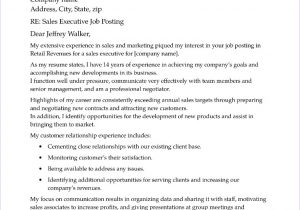 Sample Cover Letter for Resume Sales Executive Sales Executive Cover Letter Sample