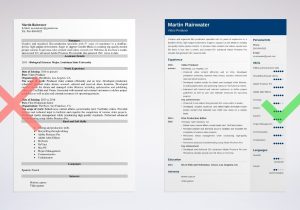 Sample Email to Send Resume to Film Company Film Resume: Sample & Writing Guide [20lancarrezekiq Tips]