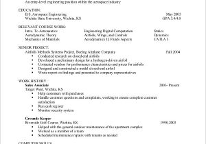 Sample Entry Level Accounting Resume No Experience Free 10 Entry Level Resume Samples In Ms Word