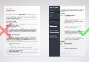 Sample Entry Level Accounts Payable Resume Accounts Payable Resume Sample & Job Description [20 Tips]