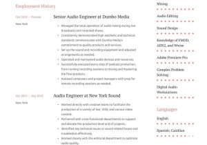 Sample Entry Level Audio Engineer Resume Audio Engineer Resume Examples & Writing Tips 2022 (free Guide)