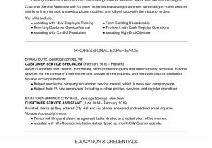Sample Entry Level Customer Service Resume Customer Service Resume Examples and Writing Tips