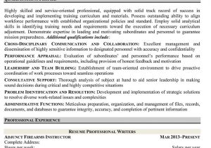 Sample Federal Resume for Program Specialist Federal Resume Writing Service Resume Professional Writers