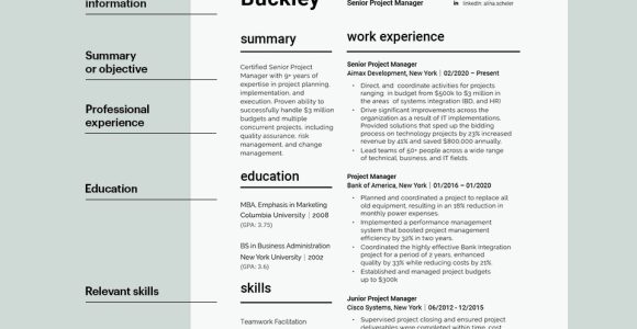 Sample Functional Resume Project Manager In organization and Training Project Manager Resume Examples & Templates for 2022 Resumeway