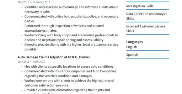 Sample Geico Bodily Injury Claims Resume Claims Adjuster Resume Examples & Writing Tips 2022 (free Guide)