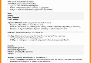 Sample General Career Objective for Resume 12 13 Successful Resume Objectives