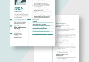 Sample General Resume for Peco Peco Business Lawyer Resume Template – Word, Apple Pages Template.net