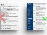 Sample Graphic Design Resume Objective Statement Graphic Designer Resume: Examples & Tips for 2022